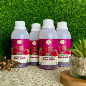 PROMIC BUAH NAGA