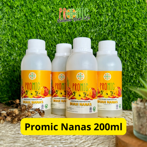 Promic Nanas